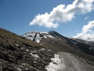 Monte Morfreid  