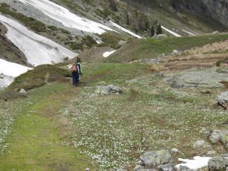Primi segni di primavera