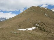 la lunga fila in salita sulla dorsale finale