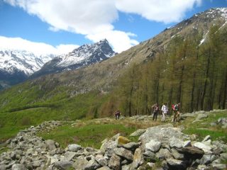 arrivo all'alpe d' Attia