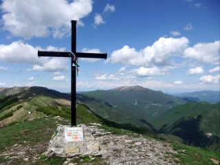 In vetta
