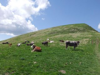 Sotto la cima
