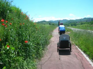 lungo la ciclabile ormai danneggiata