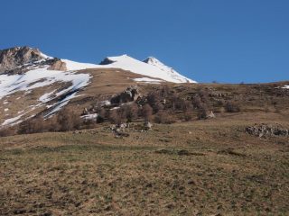 Ma la neve dov' è?