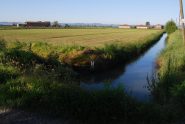 Roggia di Livorno, cascine Aiassetta e Antoniana