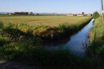 Roggia di Livorno, cascine Aiassetta e Antoniana
