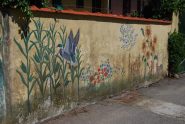 Murales a S. Giacomo: mano da artista e tanta passione !!