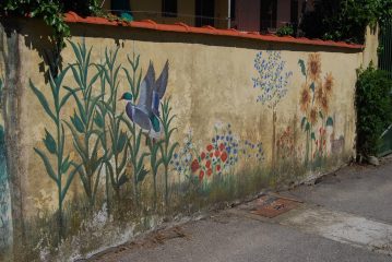 Murales a S. Giacomo: mano da artista e tanta passione !!