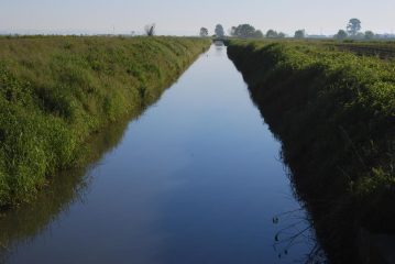 La Roggia di Bianzè (con germani) alla partenza a S. Giacomo