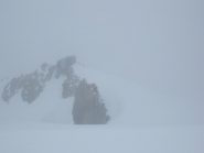 Cosmiques