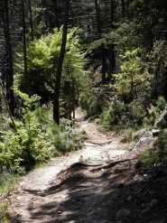 il bel single trek