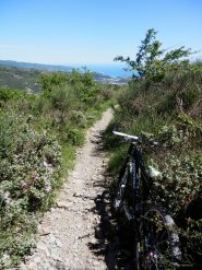 sentierino nella parte più facile 