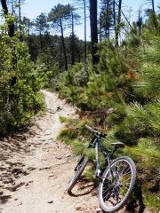 single trek nel tratto più fattibile