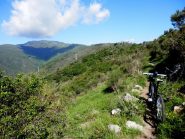 il bignone è laggiù sotto la nuvola