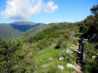 il bignone è laggiù sotto la nuvola