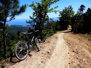la meravigliosa tagliafuoco