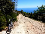 sempre lei vista mare