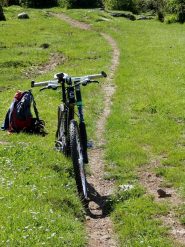 un filo di passaggio in mezzo al verde