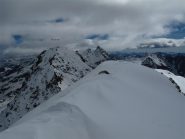 Vetta