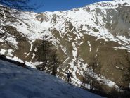Nel lariceto iniziale