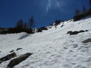 Parte alta del bosco