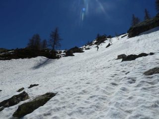 Parte alta del bosco