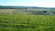 vigneti di Piverone e dorsale collina di Masino