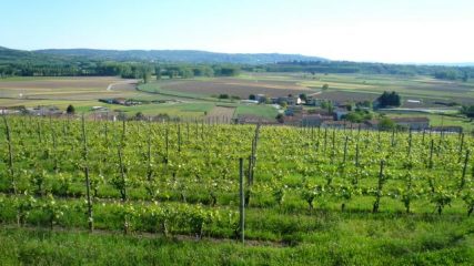 vigneti di Piverone e dorsale collina di Masino