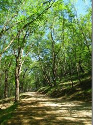 Lungo la strada verso il Poggio Ceresa