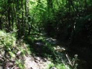 Sentiero e rio corrono paralleli