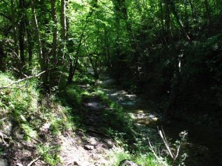 Sentiero e rio corrono paralleli