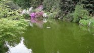 al laghetto del parco della Burcina