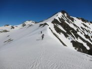 Cresta