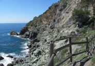 Sentiero sugli scogli