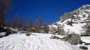 Inizia la neve....