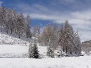 vicino alla partenza