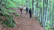 seguendo l'ottimo sentiero verso la Piana di San Lorenzo (19-5-2013)