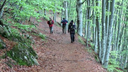 seguendo l'ottimo sentiero verso la Piana di San Lorenzo (19-5-2013)