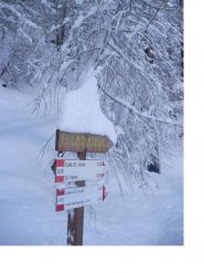 E' tornato l'inverno..