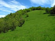 Colori sgargianti e rasserenanti