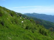 Che bella scena, almeno loro ci sono