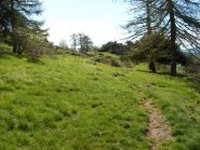 i pascoli dell'Alpe di Cosio