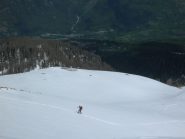 contrasti di primavera