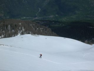 contrasti di primavera