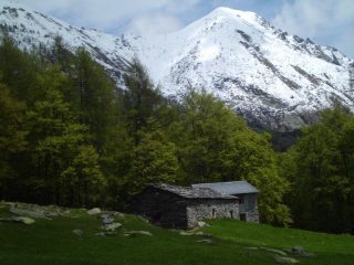 Pian Sarpeis