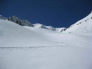 farina di maggio 1