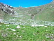 Appena fuori dal faggeto ,Sella Spa