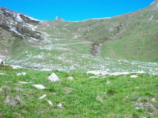 Appena fuori dal faggeto ,Sella Spa
