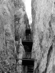 Le scale .. sicuramente meglio percorrerle scendendo