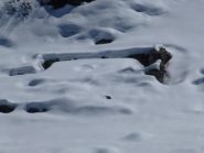  l'alpe Giardino
